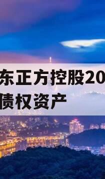 山东正方控股2023年债权资产