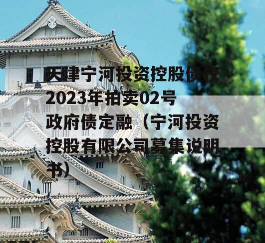 天津宁河投资控股债权2023年拍卖02号政府债定融（宁河投资控股有限公司募集说明书）