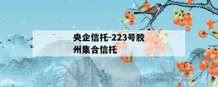 央企信托-223号胶州集合信托