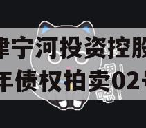 天津宁河投资控股2023年债权拍卖02号