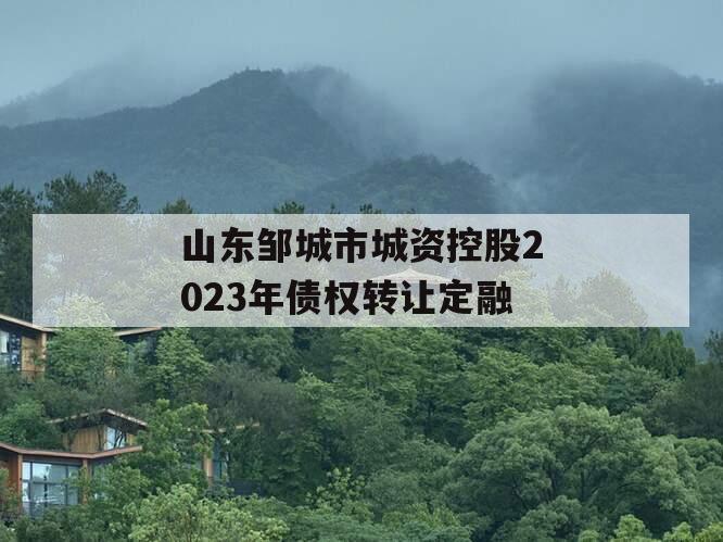 山东邹城市城资控股2023年债权转让定融