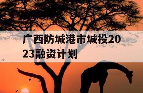 广西防城港市城投2023融资计划