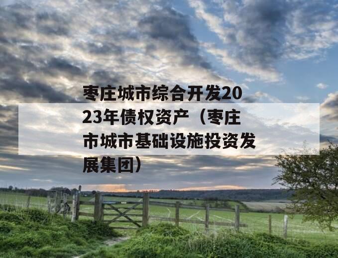 枣庄城市综合开发2023年债权资产（枣庄市城市基础设施投资发展集团）