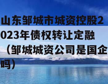 山东邹城市城资控股2023年债权转让定融（邹城城资公司是国企吗）