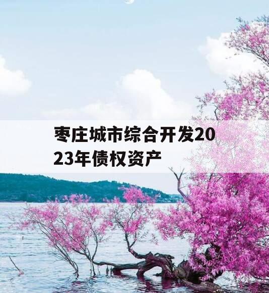 枣庄城市综合开发2023年债权资产