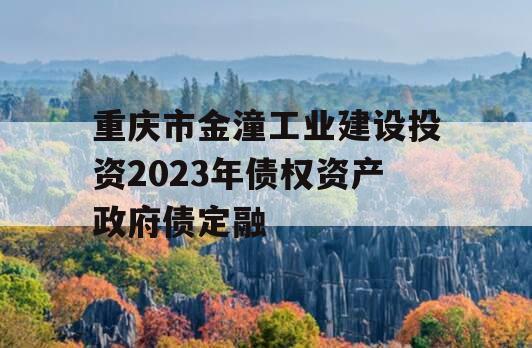 重庆市金潼工业建设投资2023年债权资产政府债定融