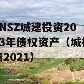 JNSZ城建投资2023年债权资产（城投债2021）