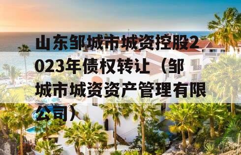 山东邹城市城资控股2023年债权转让（邹城市城资资产管理有限公司）