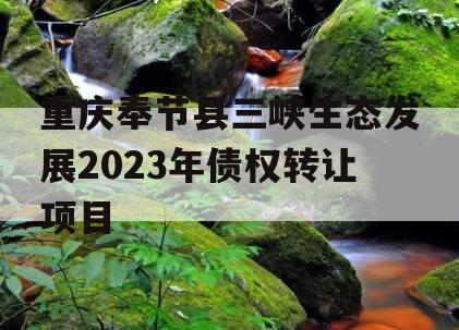 重庆奉节县三峡生态发展2023年债权转让项目