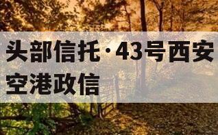 头部信托·43号西安空港政信