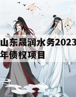 山东晟润水务2023年债权项目