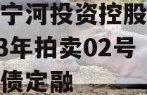 天津宁河投资控股债权2023年拍卖02号政府债定融