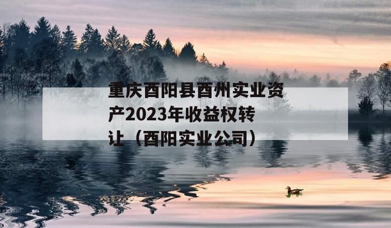 重庆酉阳县酉州实业资产2023年收益权转让（酉阳实业公司）