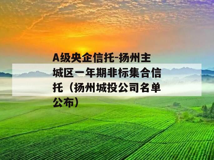 A级央企信托-扬州主城区一年期非标集合信托（扬州城投公司名单公布）