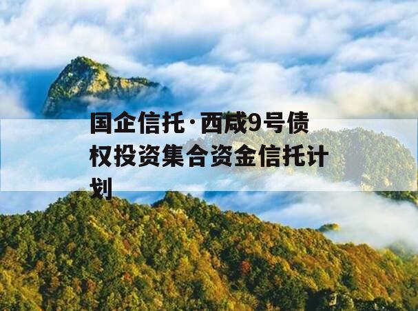 国企信托·西咸9号债权投资集合资金信托计划