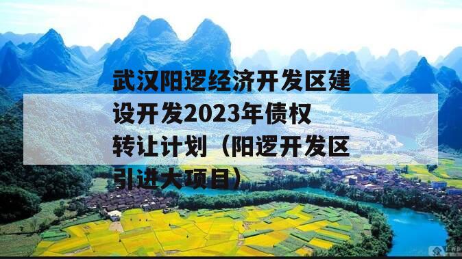 武汉阳逻经济开发区建设开发2023年债权转让计划（阳逻开发区引进大项目）