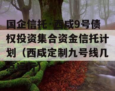 国企信托·西咸9号债权投资集合资金信托计划（西咸定制九号线几点运行）