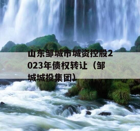 山东邹城市城资控股2023年债权转让（邹城城投集团）