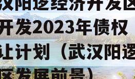 武汉阳逻经济开发区建设开发2023年债权转让计划（武汉阳逻开发区发展前景）