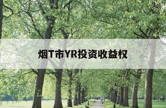 烟T市YR投资收益权