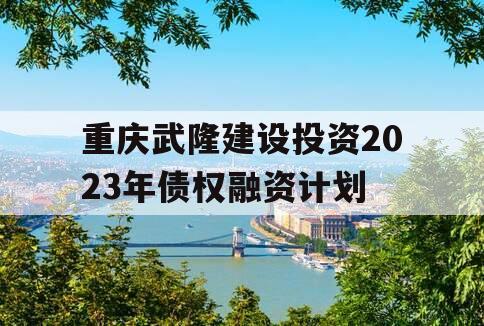 重庆武隆建设投资2023年债权融资计划