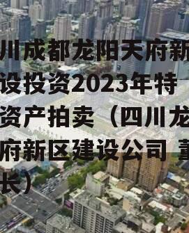 四川成都龙阳天府新区建设投资2023年特定资产拍卖（四川龙阳天府新区建设公司 董事长）