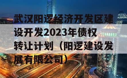武汉阳逻经济开发区建设开发2023年债权转让计划（阳逻建设发展有限公司）