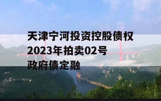 天津宁河投资控股债权2023年拍卖02号政府债定融