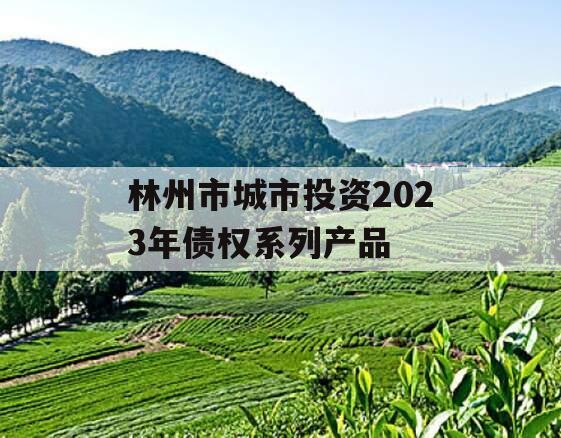 林州市城市投资2023年债权系列产品