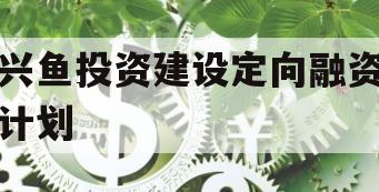 兴鱼投资建设定向融资计划