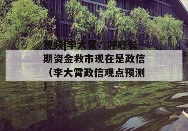 视频|李大霄：呼吁长期资金救市现在是政信（李大霄政信观点预测）