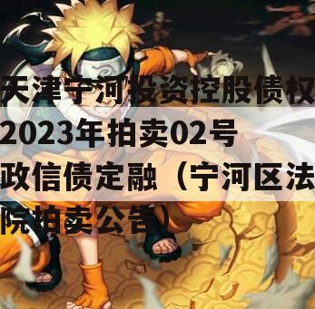 天津宁河投资控股债权2023年拍卖02号政信债定融（宁河区法院拍卖公告）