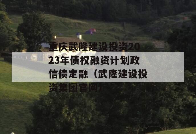 重庆武隆建设投资2023年债权融资计划政信债定融（武隆建设投资集团官网）