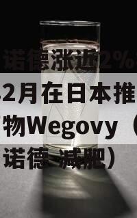 诺和诺德涨近2%将于明年2月在日本推出减肥药物Wegovy（诺和诺德 减肥）