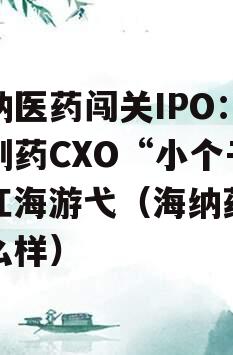 海纳医药闯关IPO：仿制药CXO“小个子”红海游弋（海纳药业怎么样）