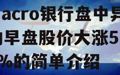 Macro银行盘中异动早盘股价大涨5.41%的简单介绍