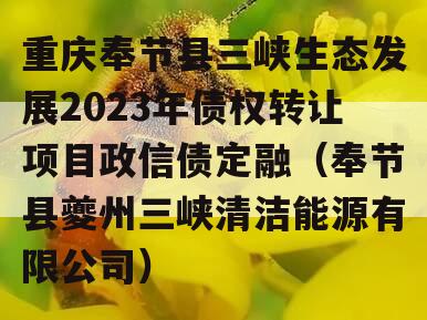 重庆奉节县三峡生态发展2023年债权转让项目政信债定融（奉节县夔州三峡清洁能源有限公司）