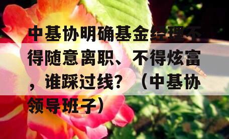 中基协明确基金经理不得随意离职、不得炫富，谁踩过线？（中基协领导班子）