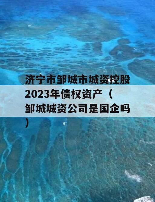 济宁市邹城市城资控股2023年债权资产（邹城城资公司是国企吗）