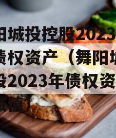 舞阳城投控股2023年债权资产（舞阳城投控股2023年债权资产减值）