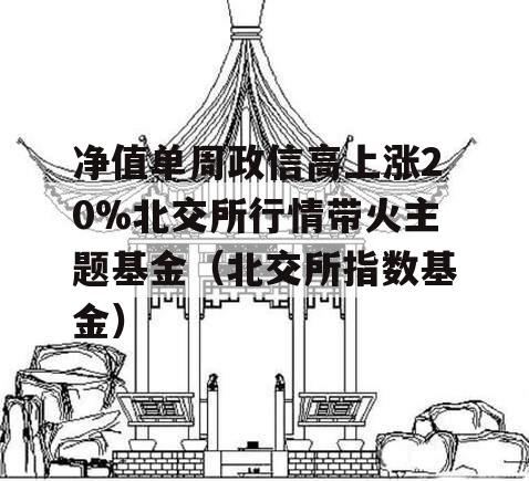 净值单周政信高上涨20%北交所行情带火主题基金（北交所指数基金）