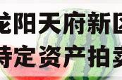 四川龙阳天府新区建设投资特定资产拍卖