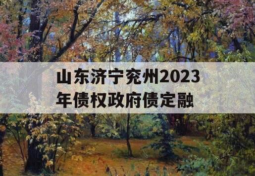 山东济宁兖州2023年债权政府债定融