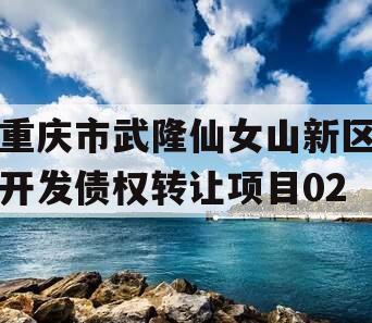 重庆市武隆仙女山新区开发债权转让项目02