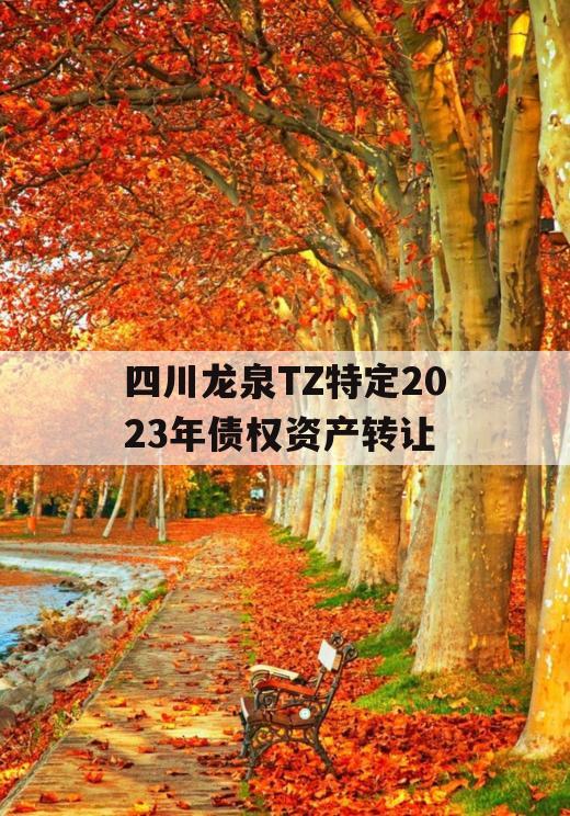 四川龙泉TZ特定2023年债权资产转让