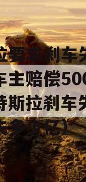 特斯拉要求刹车失灵事件女车主赔偿500万元（特斯拉刹车失灵事件损失多少亿）