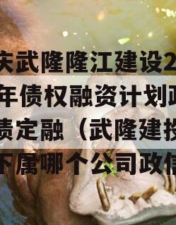 重庆武隆隆江建设2023年债权融资计划政信债定融（武隆建投集团下属哪个公司政信）