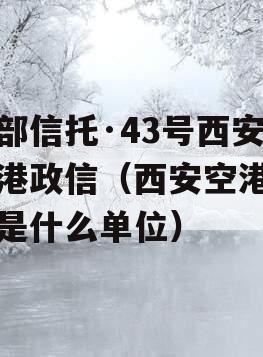 头部信托·43号西安空港政信（西安空港集团是什么单位）