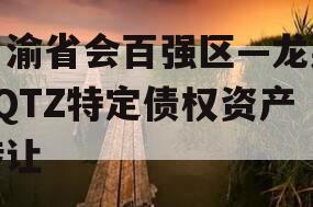 川渝省会百强区—龙泉LQTZ特定债权资产转让