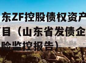 山东ZF控股债权资产项目（山东省发债企业风险监控报告）